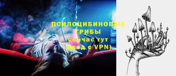 гидропоника Алексеевка