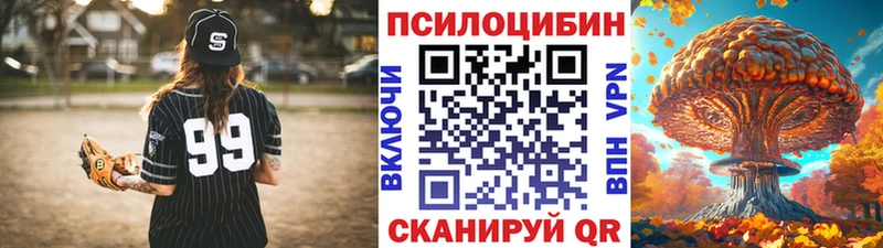 купить наркоту  Берёзовский  гидра онион  Псилоцибиновые грибы Magic Shrooms 